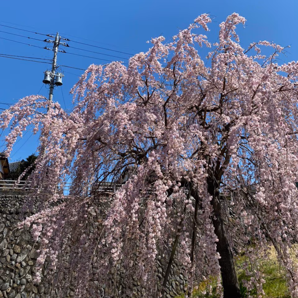 Tennenonsen Date Hot Spring