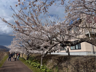 Tennenonsen Date Hot Spring — photo 11