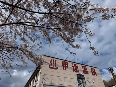 Tennenonsen Date Hot Spring — photo 12