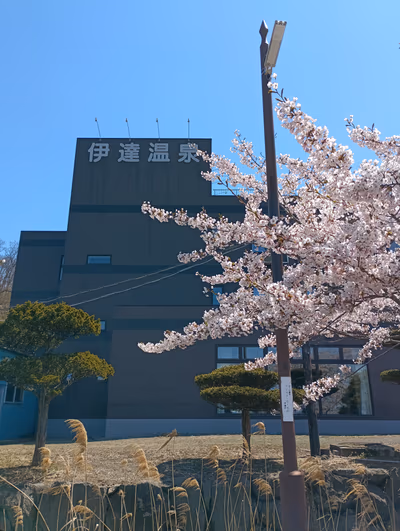 Tennenonsen Date Hot Spring — photo 14