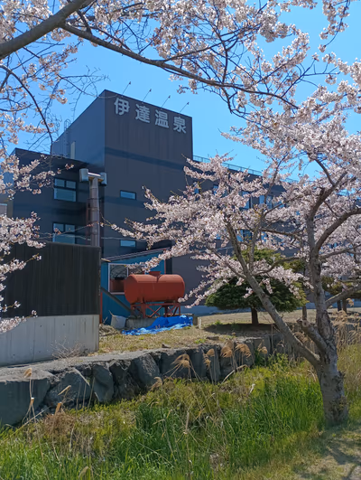 Tennenonsen Date Hot Spring — photo 15