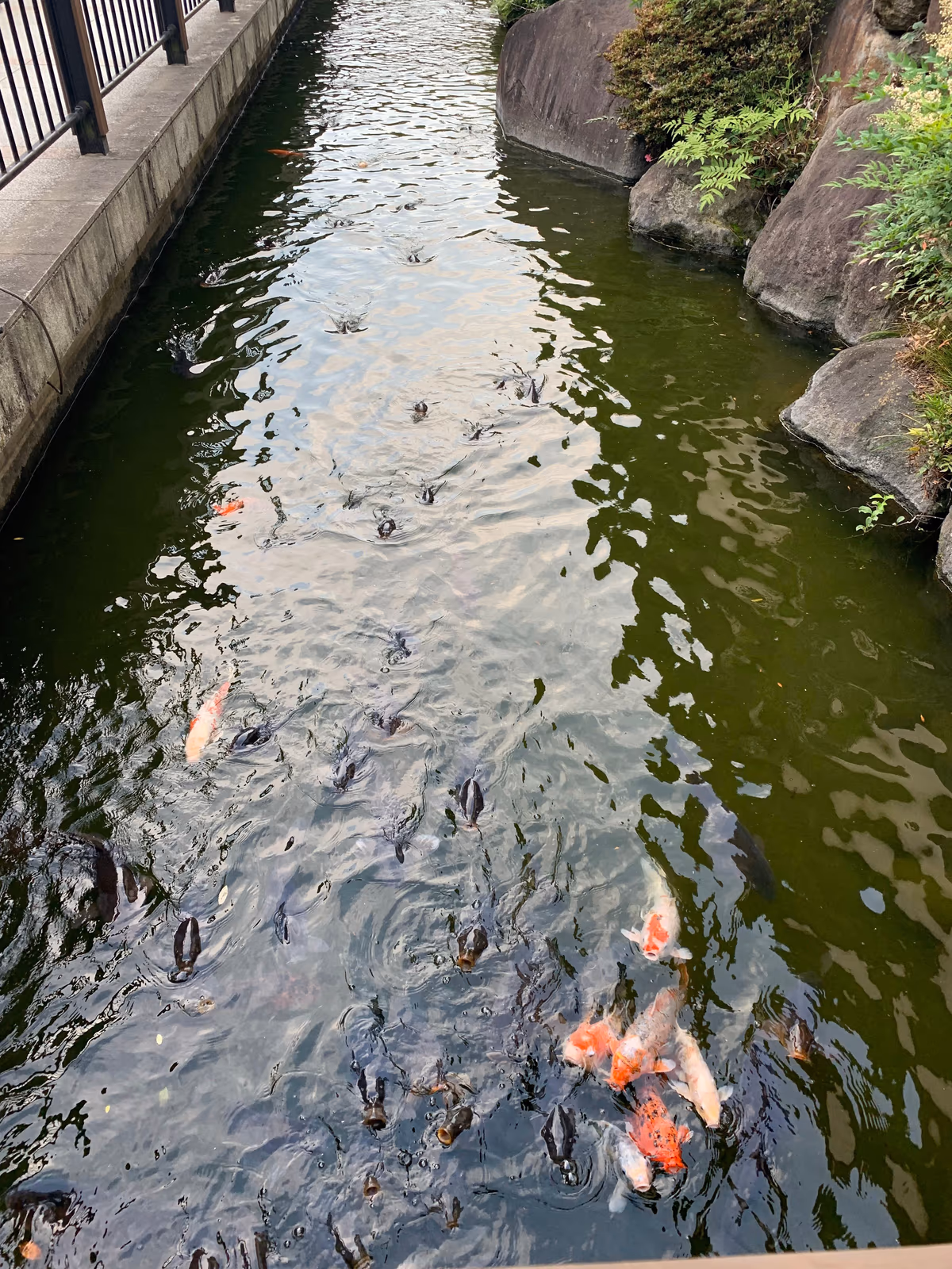 Kasukawa Onsen Genki land