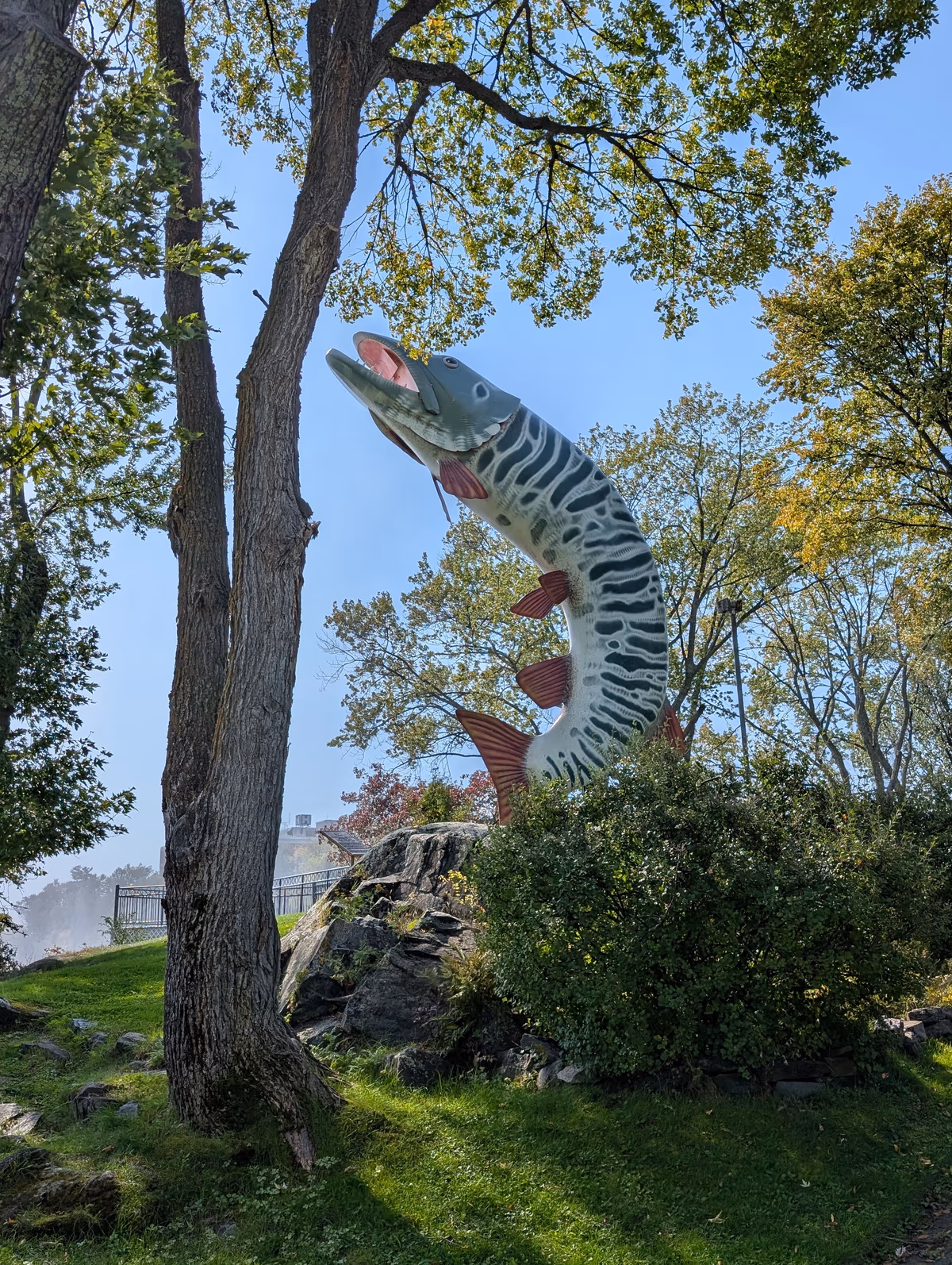 Husky the Muskie
