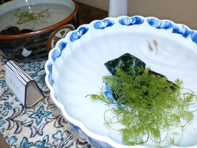 Hamakogetsu — photo 02