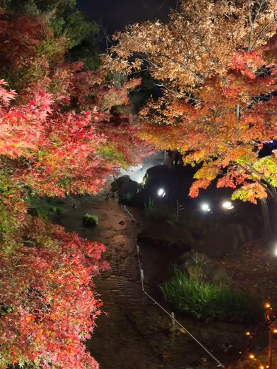 Sato no Yu — photo 04