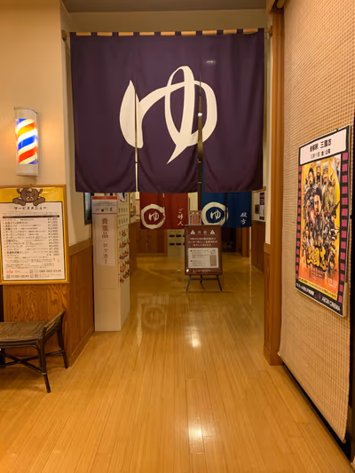Hana — photo 16