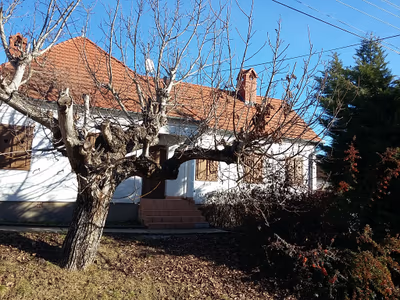 Vértestolna — photo 04