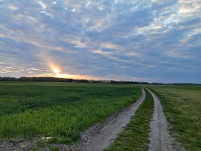 Dunavarsány — photo 06