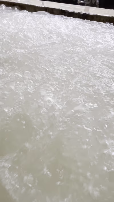 Ishizuchisanhigaeri Hot Spring — photo 03