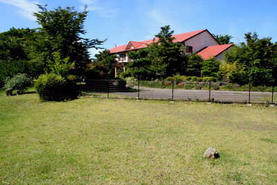 Mori — photo 12