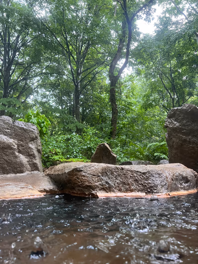Amakazari Kogen Onsen — photo 16