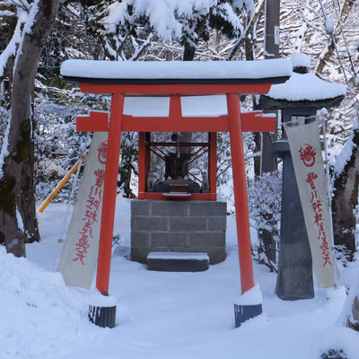 Nikko Hoshinoyado — photo 09