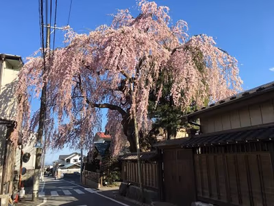 Nikko Hoshinoyado — photo 22