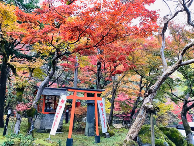 Nikko Hoshinoyado — photo 29