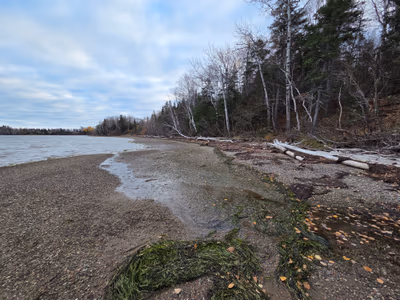 Daly Point Nature Reserve / Réserve naturelle de la pointe Daly — photo 13