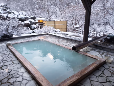 Takayu Onsen Tamagoyu — photo 06