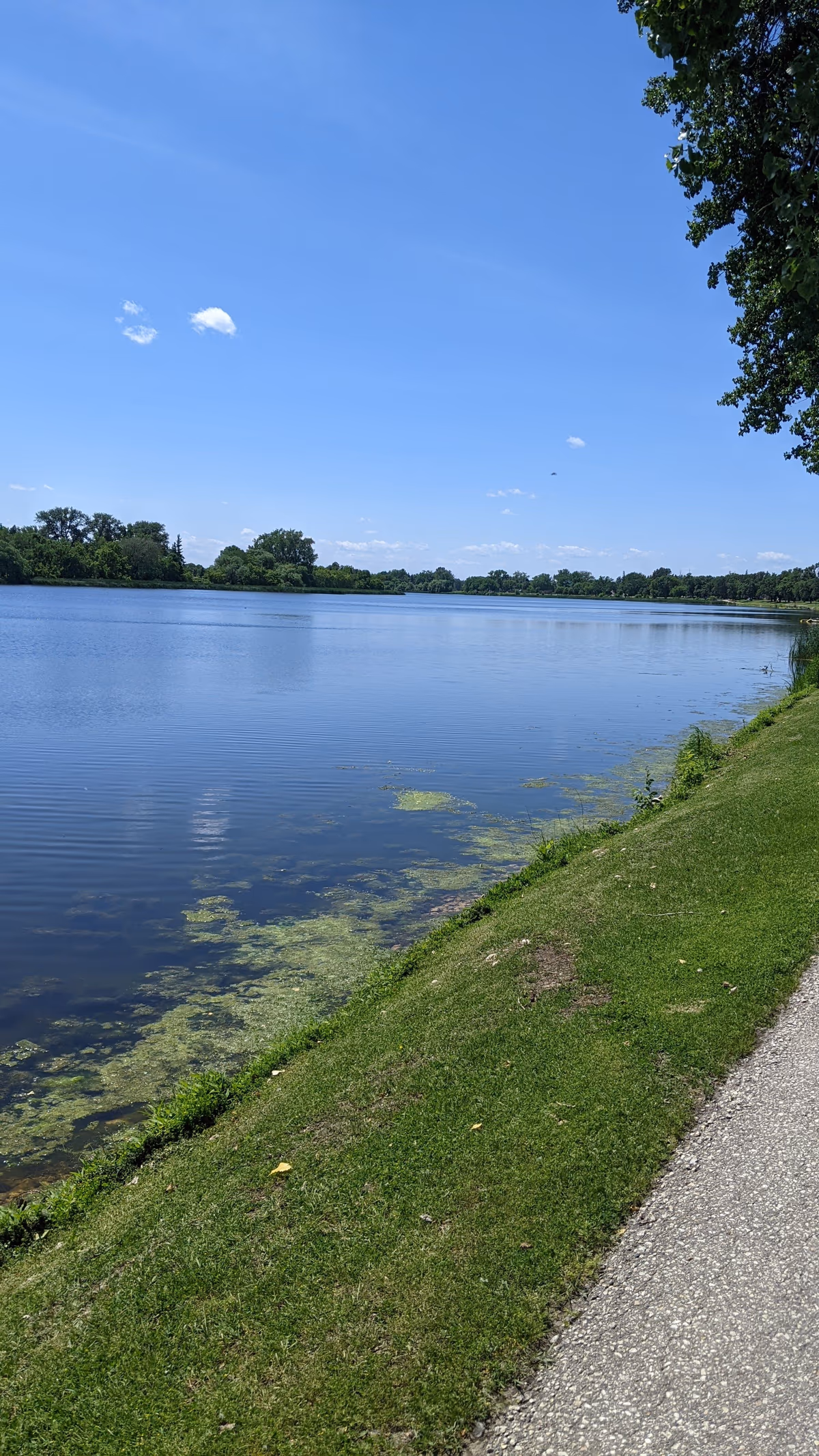 Portage la Prairie