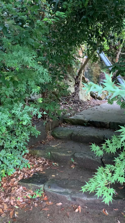 武田尾温泉 足湯 — photo 04