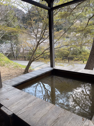 武田尾温泉 足湯 — photo 12