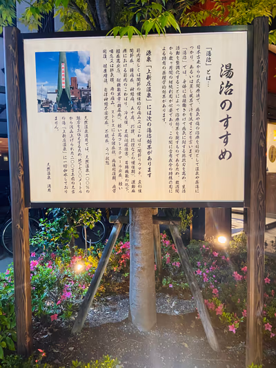 Tennen Onsen Mangetsu — photo 03