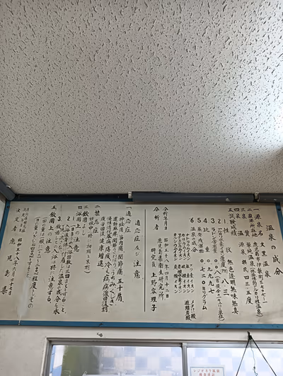 Daikoku Hot Spring — photo 14