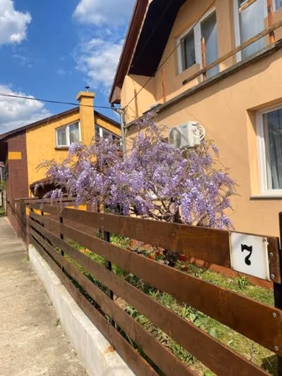 NOA Panzió — photo 12
