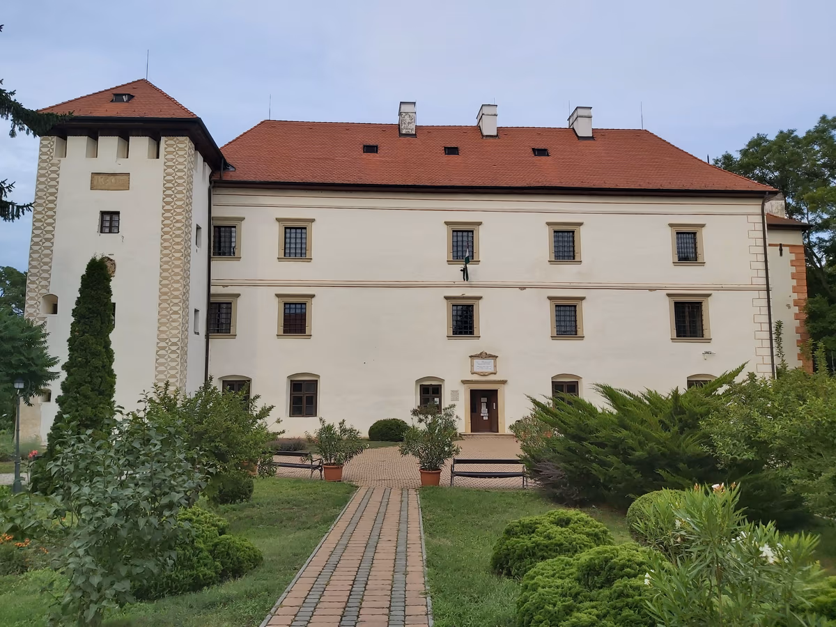 Vaja