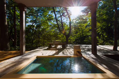 Daikon no Hana Onsen — photo 05