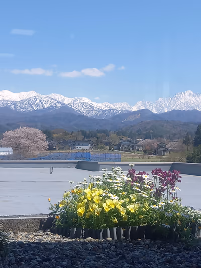 アルプスの湯 — photo 12