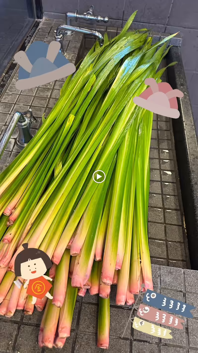 ほてい湯 — photo 08