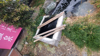 小糸川温泉 — photo 24