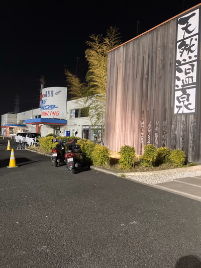 Saitama Sports Center Tennen Hot Spring — photo 02