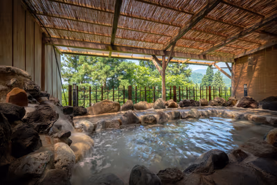 Atsushio Onsen Yamagataya Hotel — photo 08