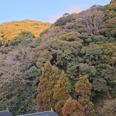 Sanyo — photo 03