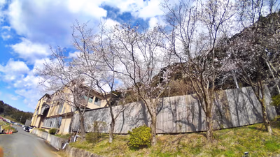 Narita / Onsen — photo 12