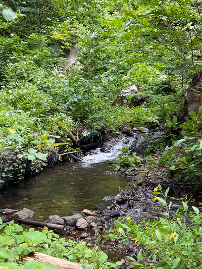 1番上の風呂 — photo 11