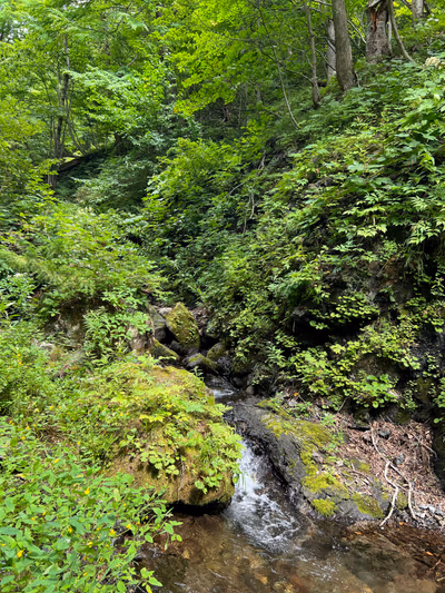 1番上の風呂 — photo 12