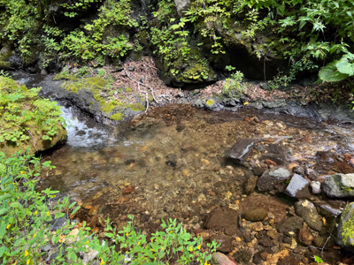 1番上の風呂 — photo 13
