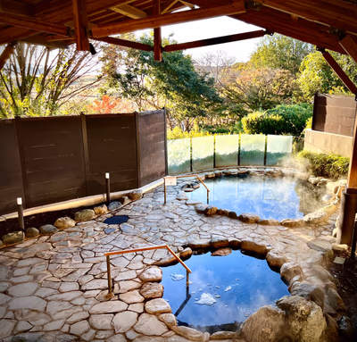 Hotel Lakeside Tsukuba — photo 07