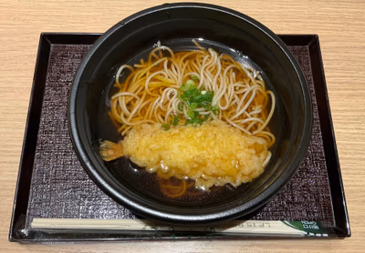 Dormy Inn Akihabara — photo 06