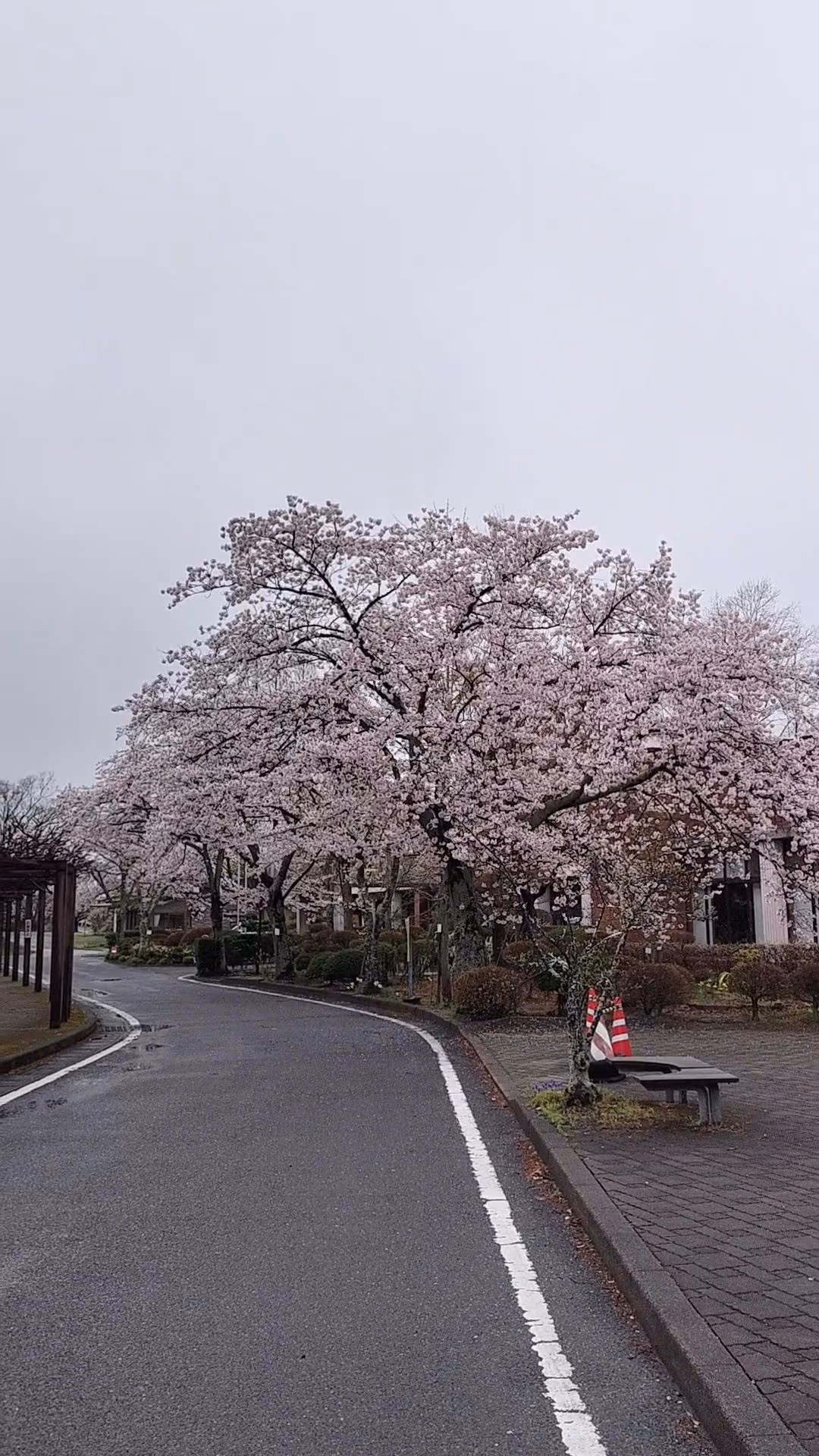 Sukagawa City onsen