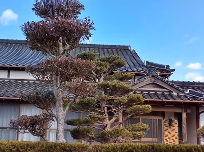 Sansuien — photo 23