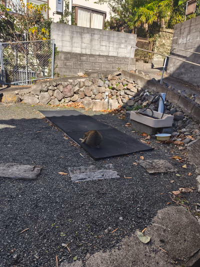 Sendai Taki Onsen — photo 20