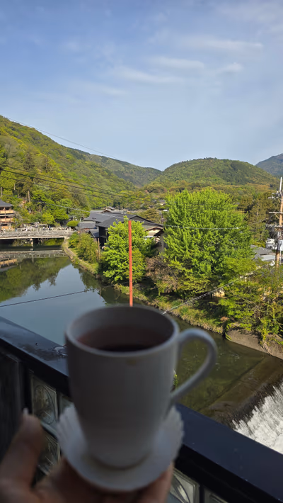 Hotel Arashiyama — photo 03