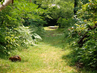 立山温泉跡 — photo 13