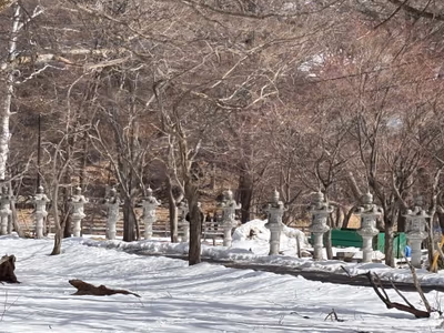 Nikkozan Onsen — photo 23