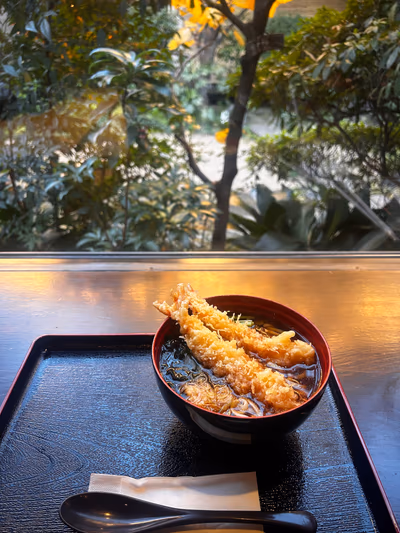 Maenohara Onsen Sayano Yudokoro — photo 19