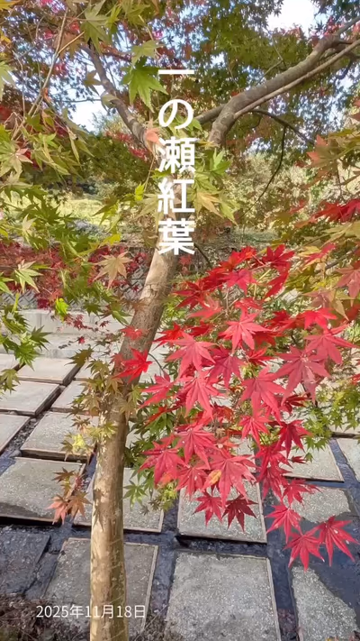 Ichinose — photo 04