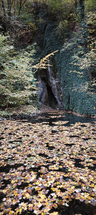 Szikla — photo 22