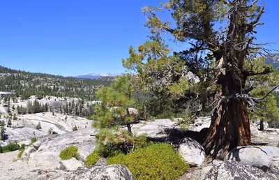 Mono Hot Springs Resort — photo 03